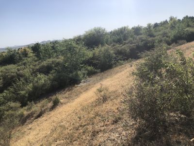 y80000��������