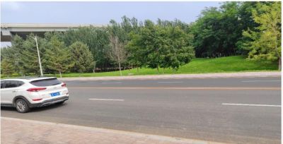 y80000��������