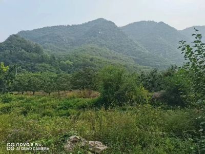 y80000��������