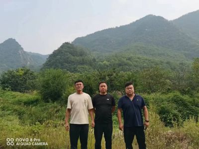 y80000��������