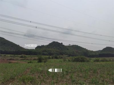 y80000��������