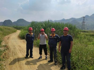 y80000��������