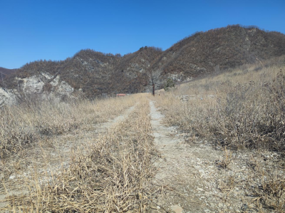 y80000��������