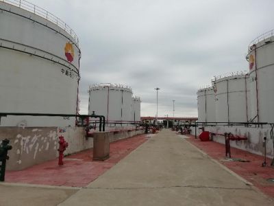 y80000��������