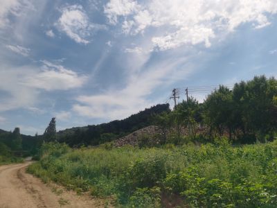 y80000��������