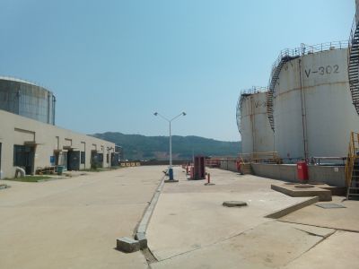 y80000��������