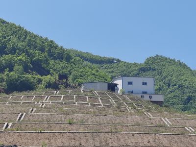 y80000��������