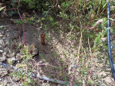 y80000��������