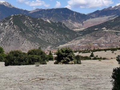 y80000��������