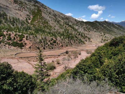 y80000��������