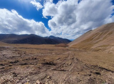 y80000��������