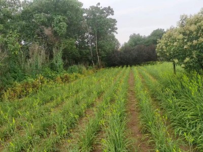 y80000��������