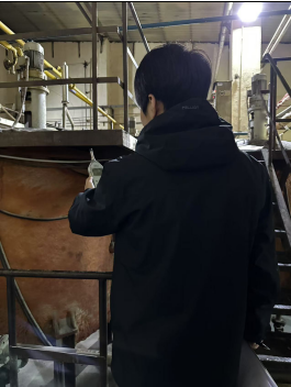 y80000��������