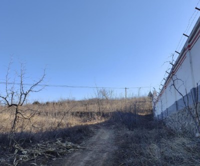 y80000��������