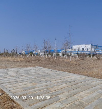 y80000��������