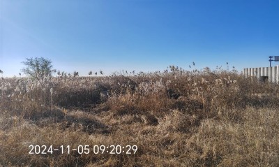 y80000��������