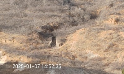 y80000��������