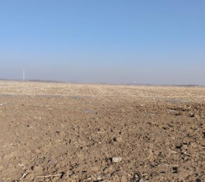 y80000��������