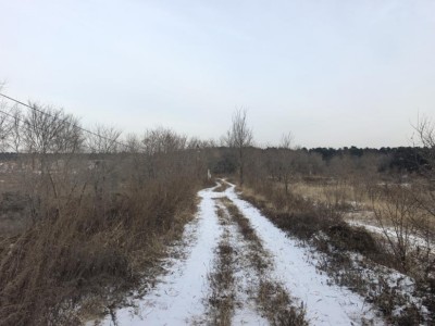 y80000��������