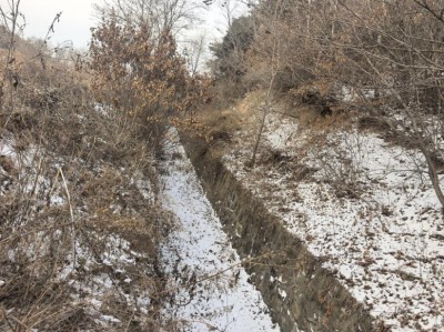 y80000��������