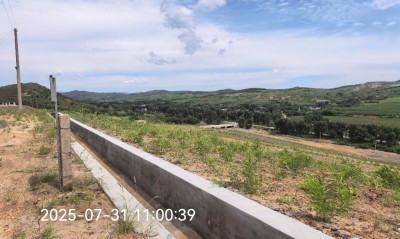 y80000��������